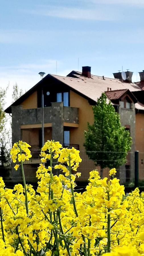 Kamilla Apartman Villapark Bük エクステリア 写真